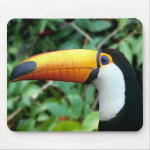 Yellow Beaked Toucan Mousepad