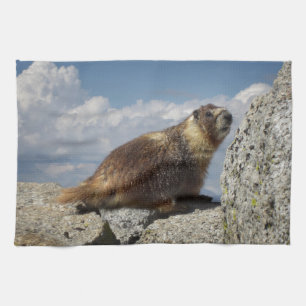 Yellow Bellied Marmot in Yosemite Geschirrtuch