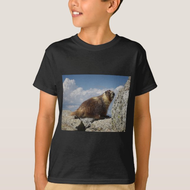 Yellow Bellied Marmot in Yosemite T-Shirt (Vorderseite)