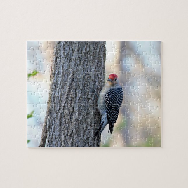 Yellow Bellied Woodpecker Puzzle (Horizontal)