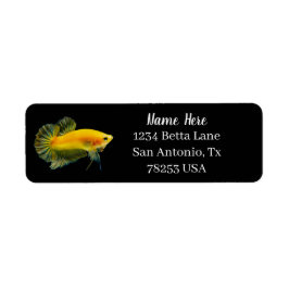 Yellow Betta Fighting Fish Return Address
