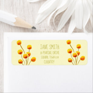 Yellow Billy Button gebürtige australische Blume