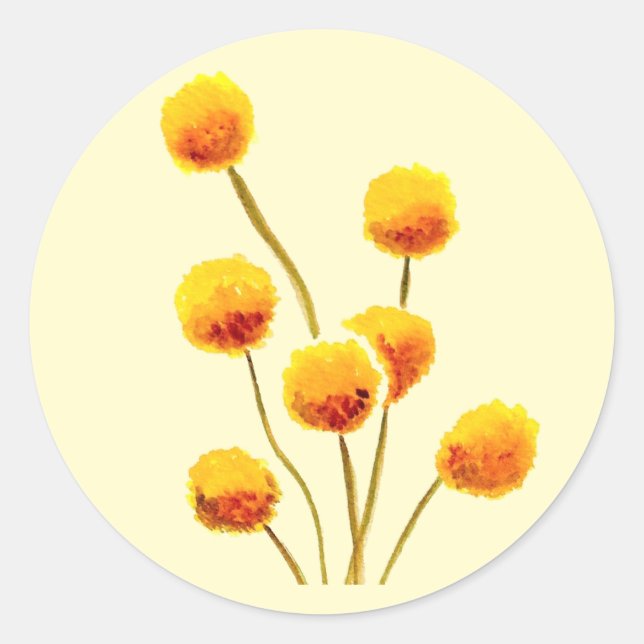 Yellow Billy Button gebürtige australische Blume Runder Aufkleber (Vorderseite)
