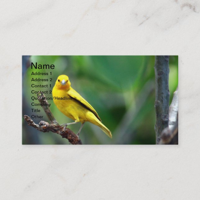 Yellow Bird-Visitenkarte Visitenkarte (Vorderseite)