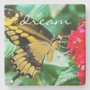 Yellow Black Frack Butterfly Dream Script Steinuntersetzer