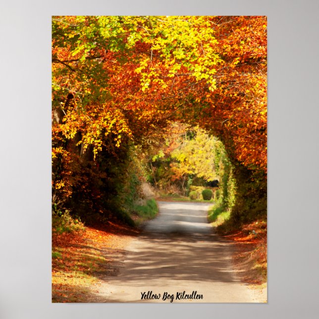 Yellow Bog Kilcullen Poster (Vorne)