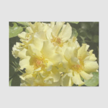 Yellow Botanical Flowers