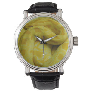 Yellow Burmese Python Armbanduhr