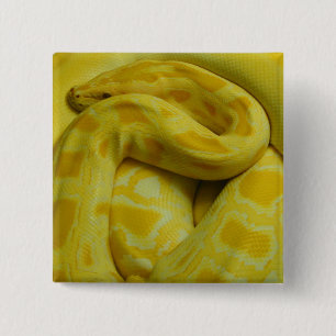 Yellow Burmese Python Button