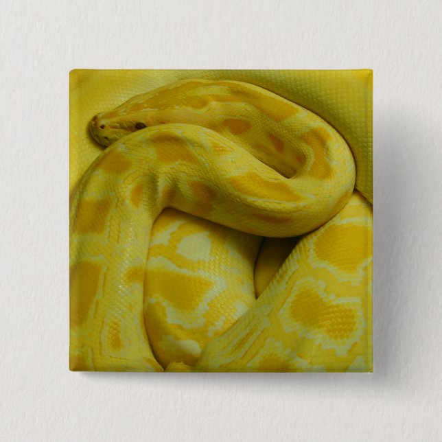 Yellow Burmese Python Button (Vorderseite)
