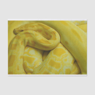 Yellow Burmese Python Seidenpapier
