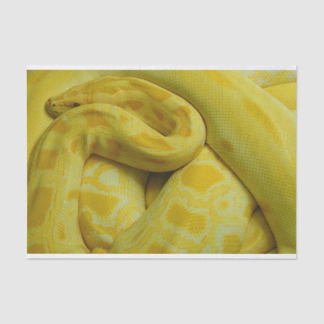 Yellow Burmese Python Seidenpapier (Vorderseite)