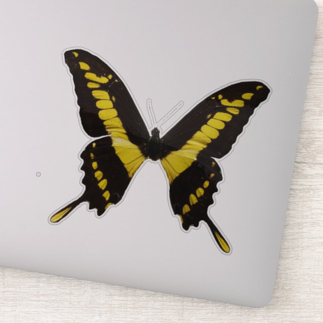Yellow Butterfly Aufkleber (Detail)