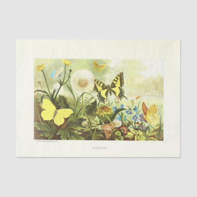 Yellow Butterfly Floral Ephemere Decoupage Französ Seidenpapier (Vorderseite)