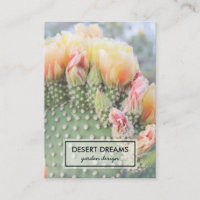 Yellow Cactus Blume Desert Garden Foto Travel