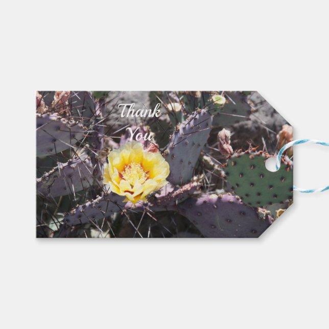 Yellow cactus flower in spring geschenkanhänger (Vorderseite (Horizontal))