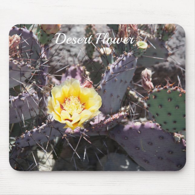 Yellow cactus flower in spring mousepad (Vorne)
