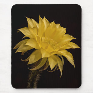 Yellow Cactus Flower Mousepad