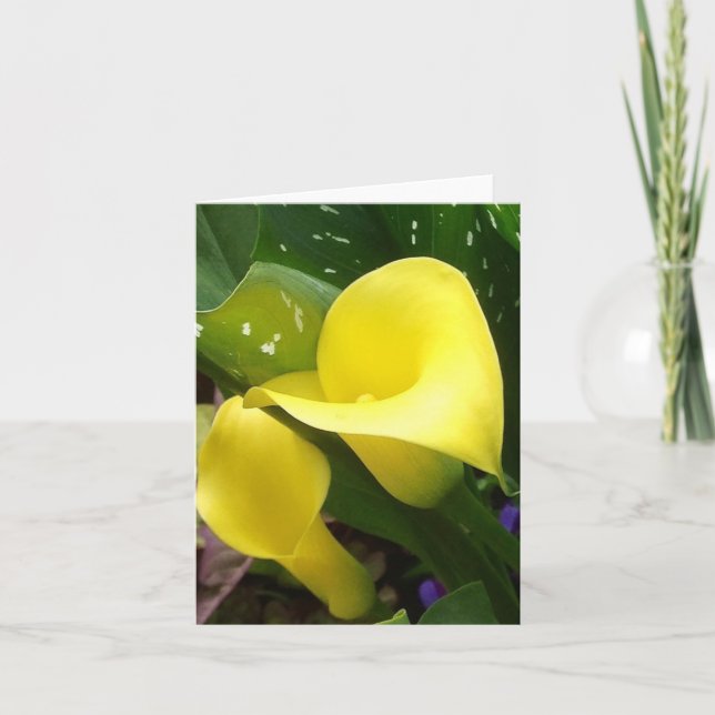 Yellow Calla Lilies Note Card Karte (Vorderseite)