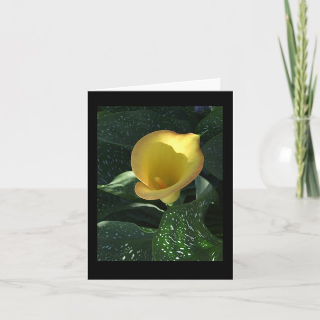 Yellow Calla Lily Blank Notecard Karte (Vorderseite)