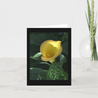 Yellow Calla Lily Blank Notecard Karte