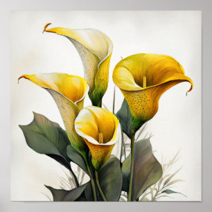 Yellow Calles Lilies Lily Blume Poster