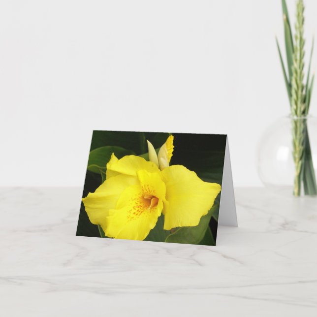 Yellow Canna Karte (Vorderseite)