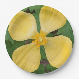 Yellow Celandine Poppy Floral Pappteller