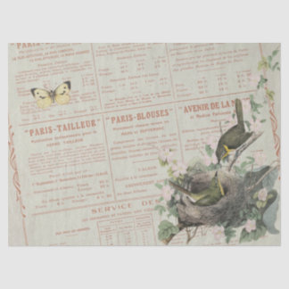 Yellow Chat Bird Nest Butterfly Französischer Deco Seidenpapier