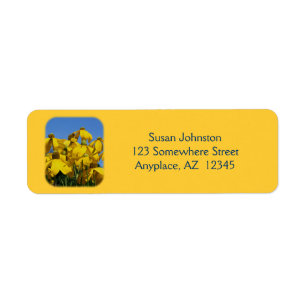 Yellow Coneflowers Flower Address