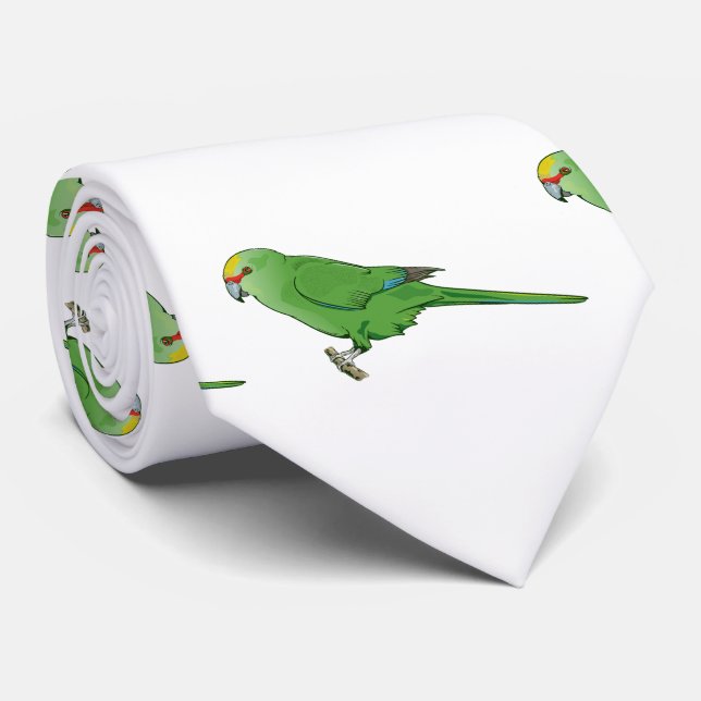 Yellow Crowned Kakariki Krawatte (Gerollt)