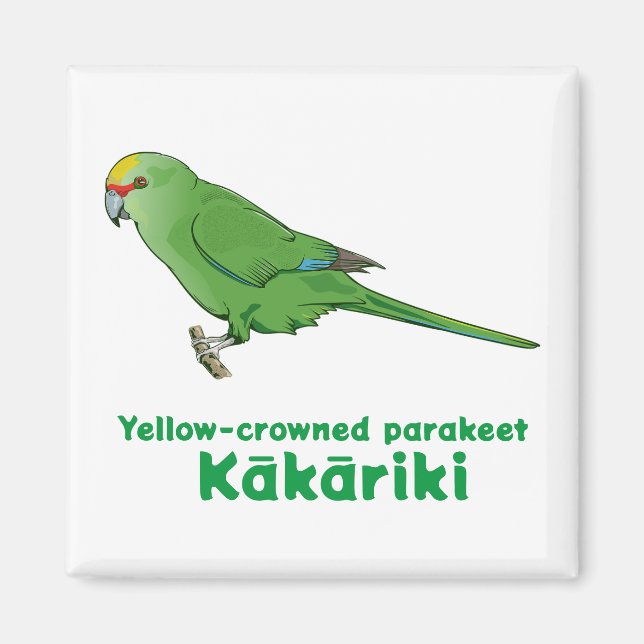 Yellow Crowned Kakariki Magnet (Vorne)