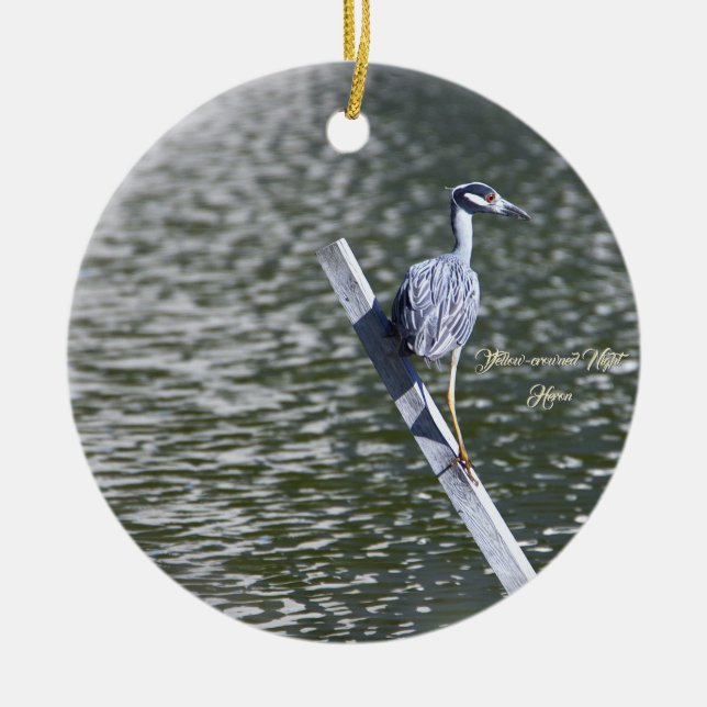 Yellow-Crowned Night Heron Ornament (Vorne)