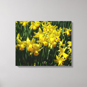 Yellow Daffodien I Cheery Spring Blumen Leinwanddruck