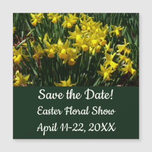 Yellow Daffodien I Cheery Spring Blumen Magnetkarte