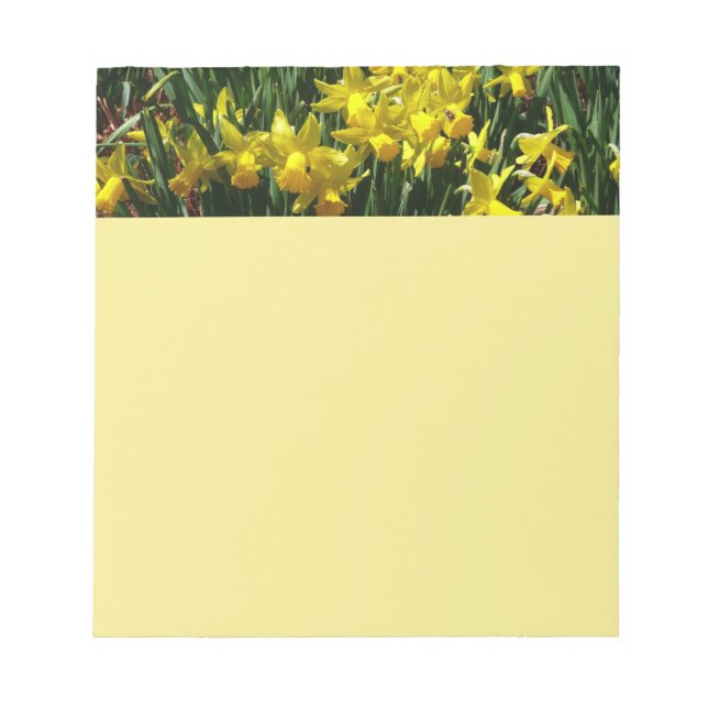 Yellow Daffodien I Cheery Spring Blumen Notizblock (Vorderseite)