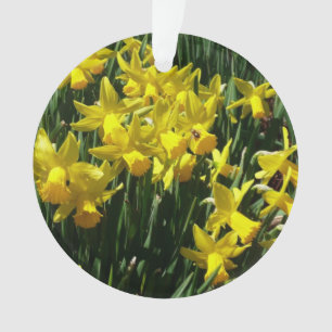Yellow Daffodien I Cheery Spring Blumen Ornament