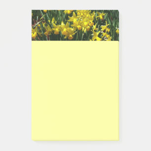 Yellow Daffodien I Cheery Spring Blumen Post-it Klebezettel