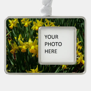 Yellow Daffodien I Cheery Spring Blumen Rahmen-Ornament Silber