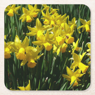 Yellow Daffodien I Cheery Spring Blumen Rechteckiger Pappuntersetzer