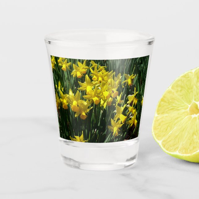 Yellow Daffodien I Cheery Spring Blumen Schnapsglas (Vorderseite)