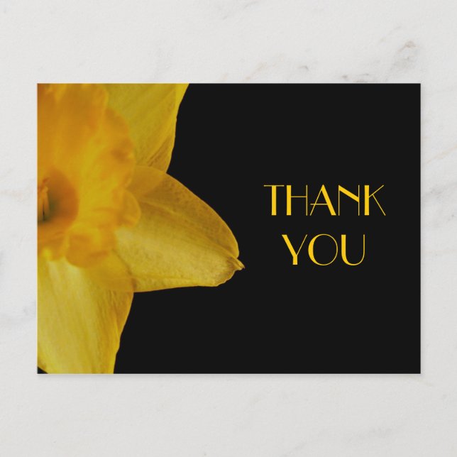 Yellow Daffodil Danke, Postcard Postkarte (Vorderseite)