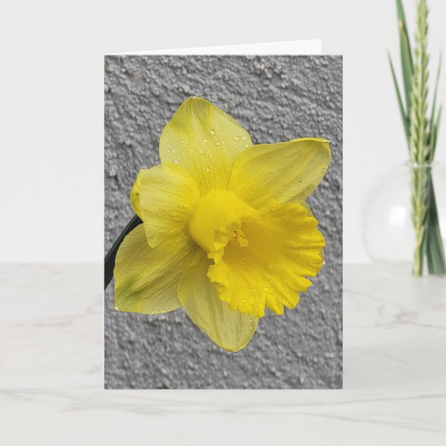 Yellow Daffodil Mother Day Card Karte (Vorderseite)