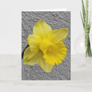 Yellow Daffodil Mother Day Card Karte