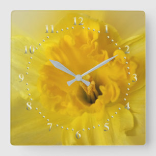 yellow daffodil quadratische wanduhr