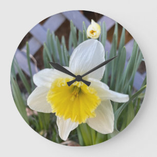 Yellow Daffodils #1 Große Wanduhr