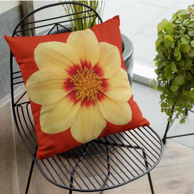 Yellow Dahlia auf Red Floral Kissen (In Situ Patio)