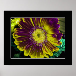 Yellow Dahlia Blume Abstrakte Kunst Poster
