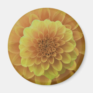Yellow Dahlia Magnet