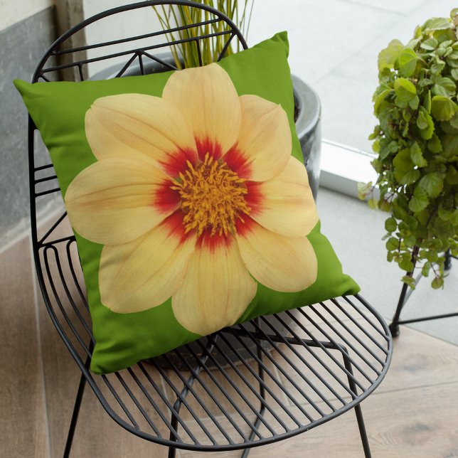 Yellow Dahlia on Green Floral Kissen (In Situ Patio)